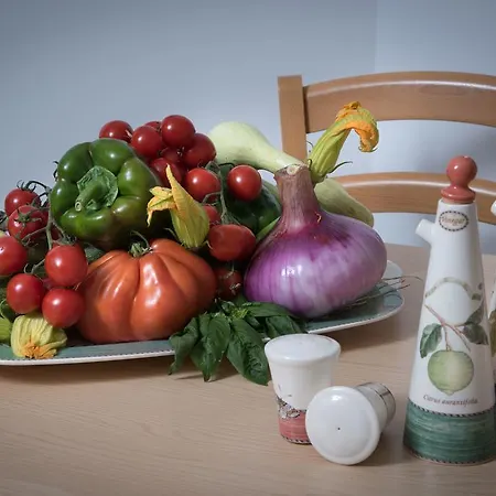 Lejlighedshotel Oleandro Pietra Ligure