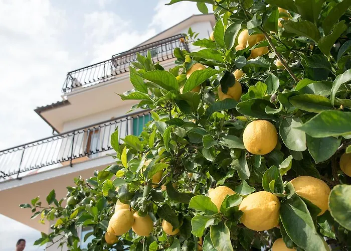 Oleandro Lägenhetshotell 3*