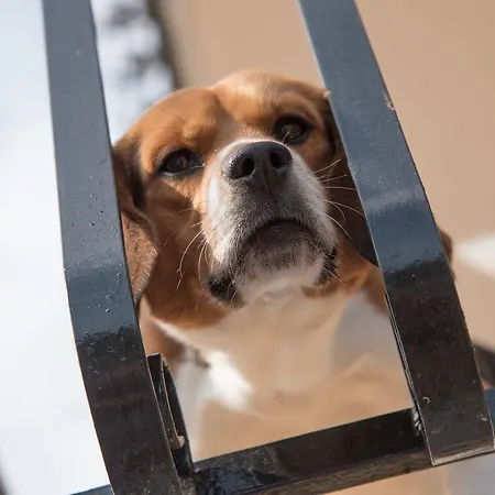 Oleandro アパートホテル 3*