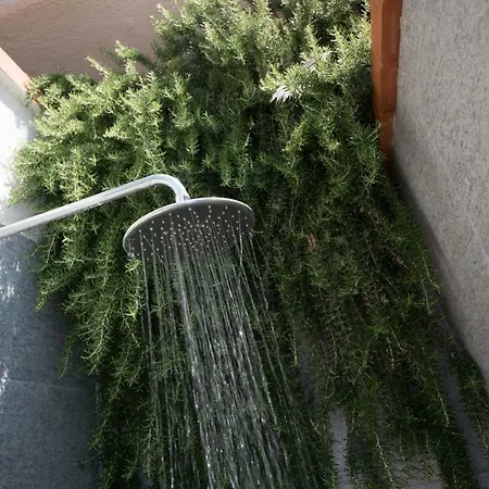 Oleandro Pietra Ligure