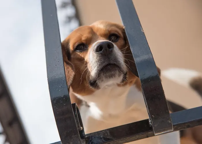 Oleandro شقة فندقية 3*