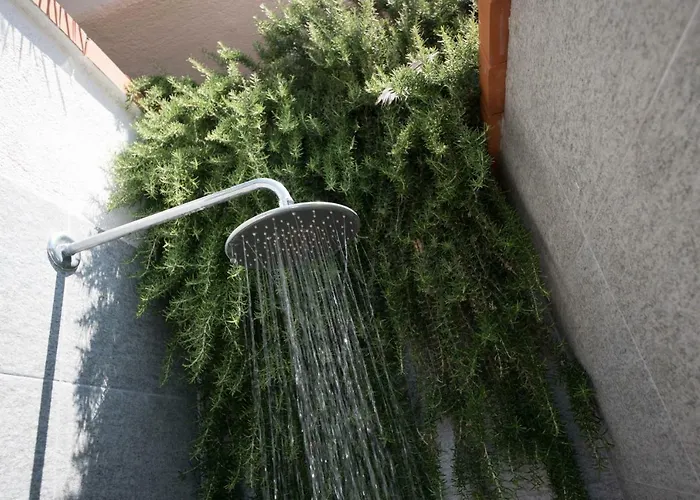 Oleandro Pietra Ligure